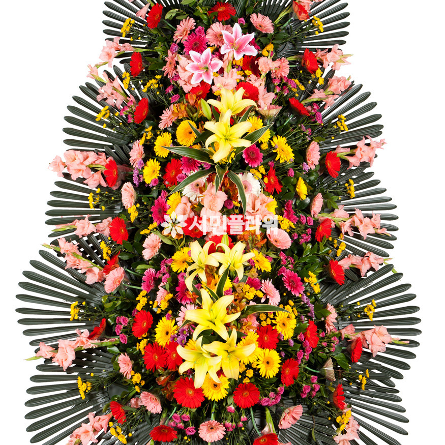 상세이미지