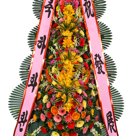 축하4단