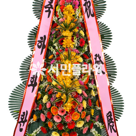 축하4단