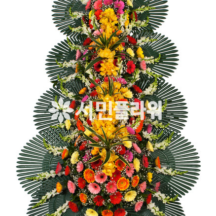 축하4단 001Q