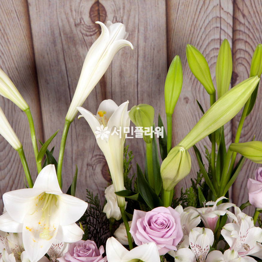 상세이미지
