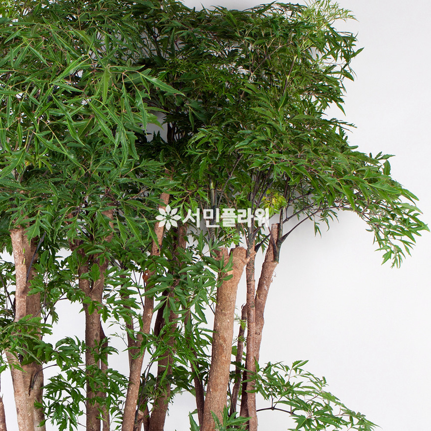 상세이미지