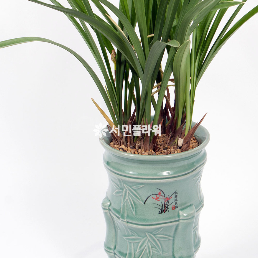 상세이미지
