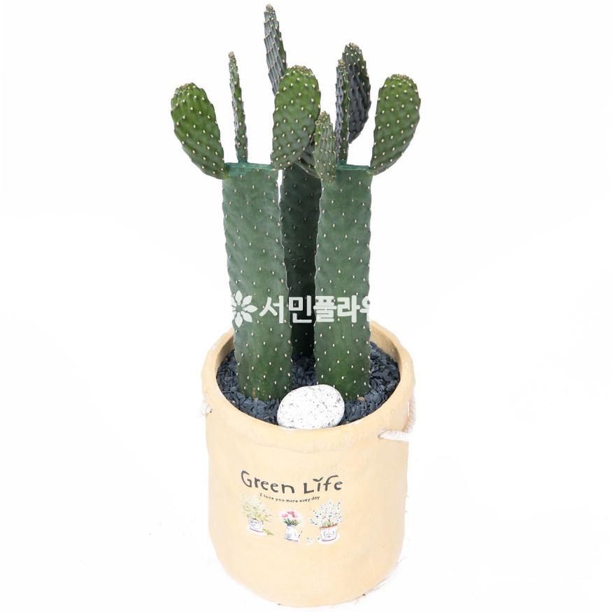 상세이미지