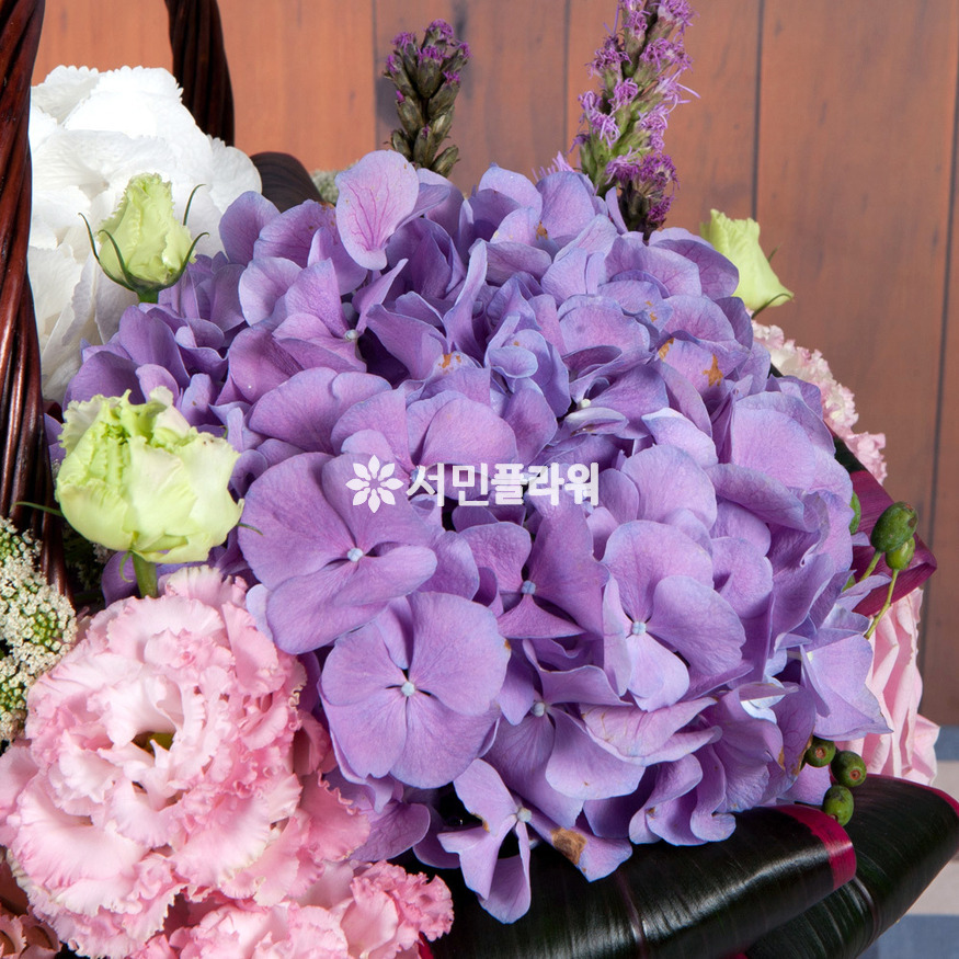 상세이미지