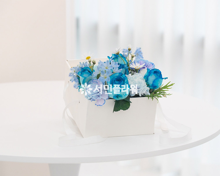 상세이미지