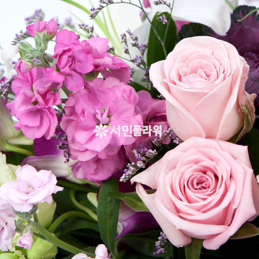 상세이미지