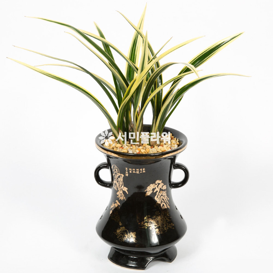 상세이미지
