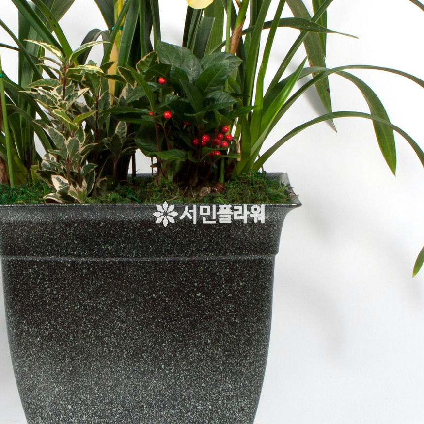 상세이미지