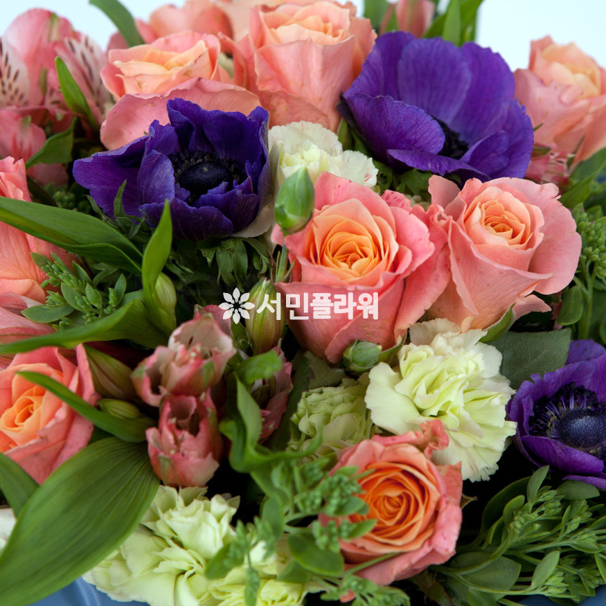 상세이미지