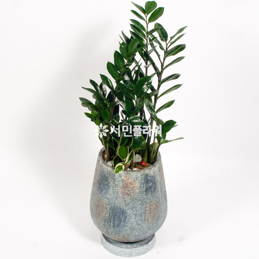 상세이미지