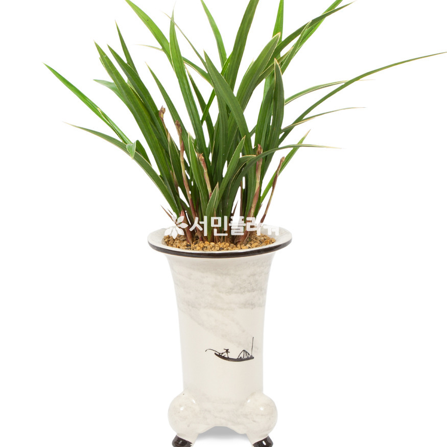 상세이미지