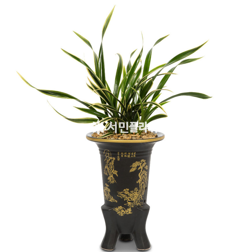 상세이미지