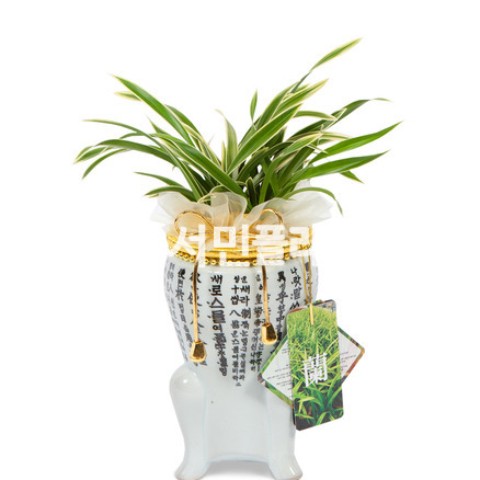 도자기대국 362e