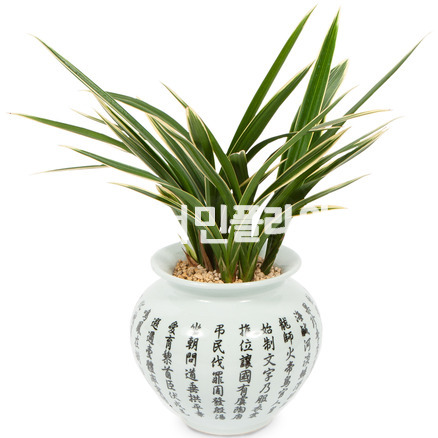 해란_일향3