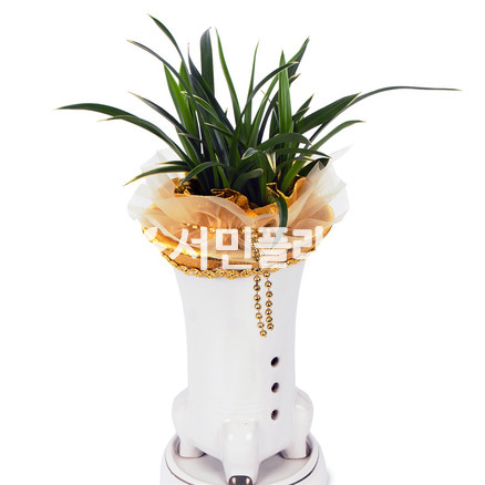 금향