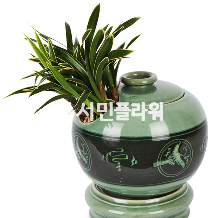 대국