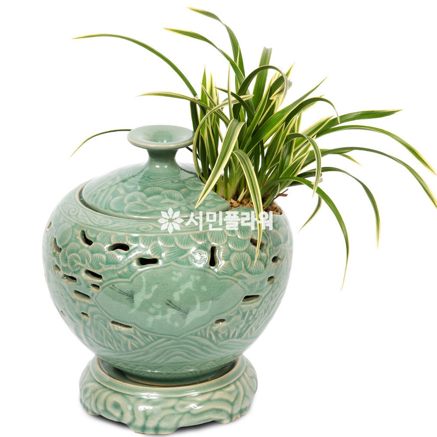 상세이미지