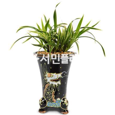대국e5030
