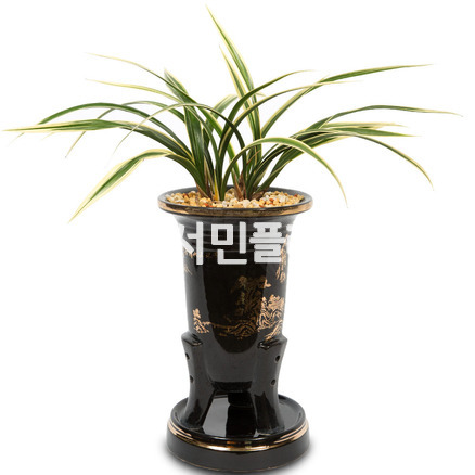 황용금e5040