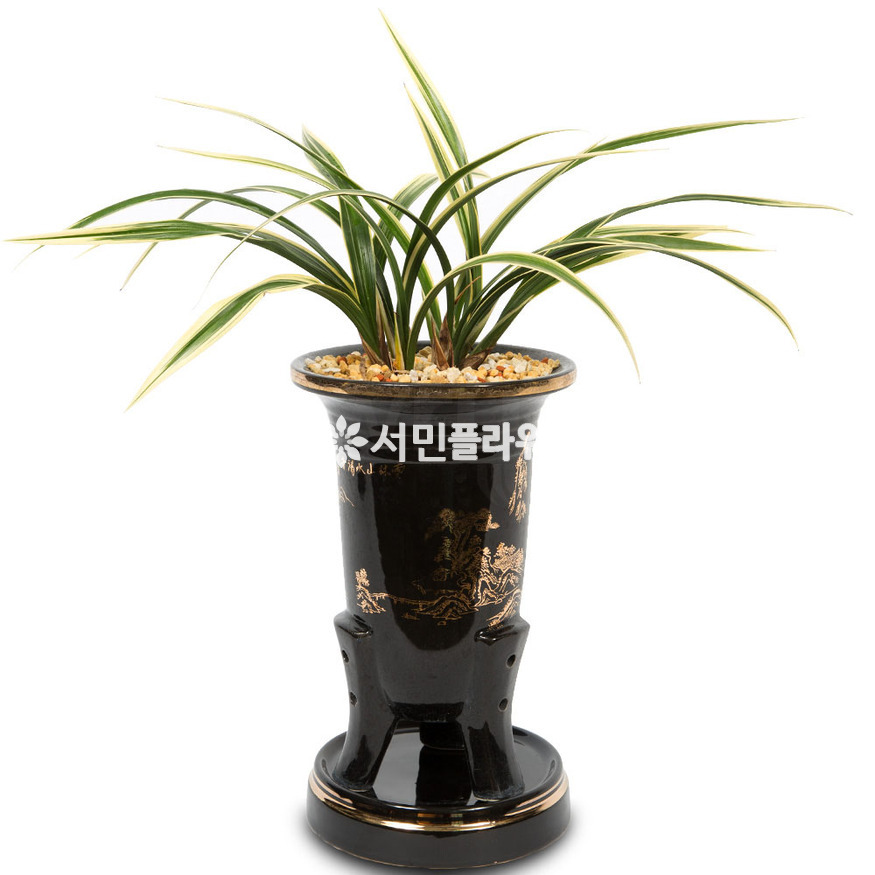 상세이미지