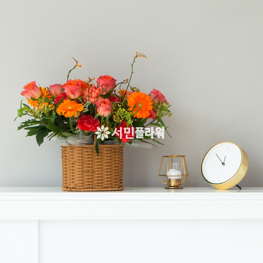 상세이미지