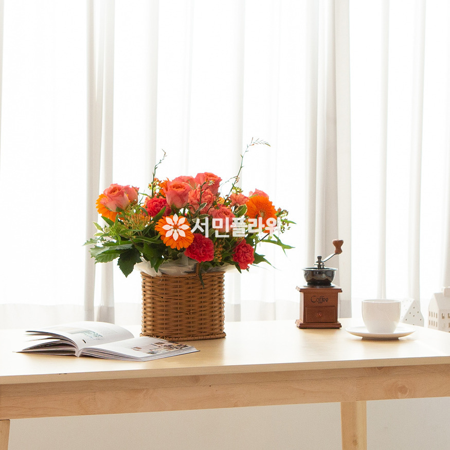 상세이미지