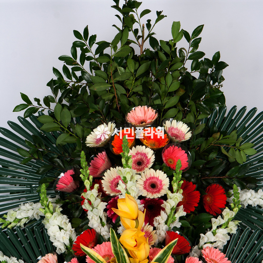 상세이미지