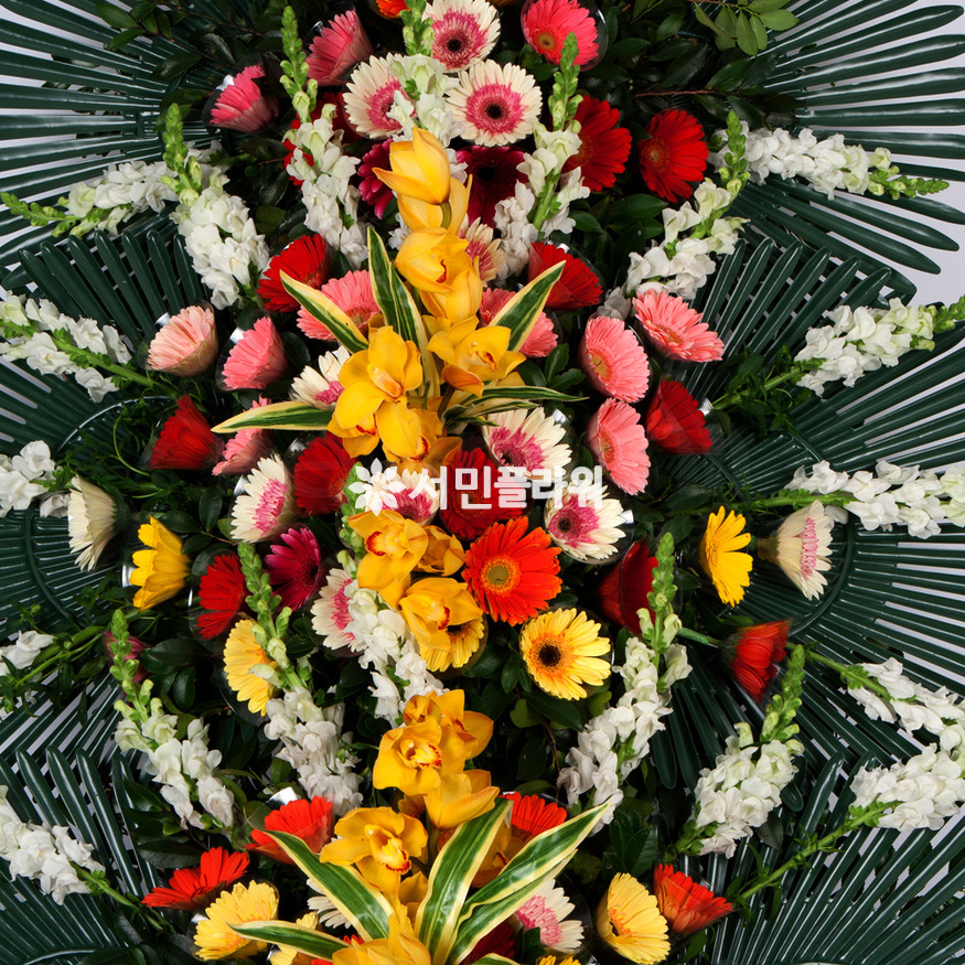상세이미지