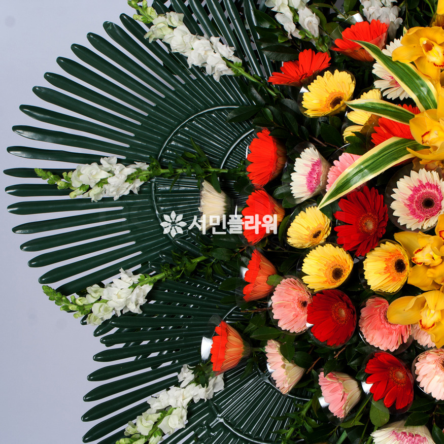 상세이미지