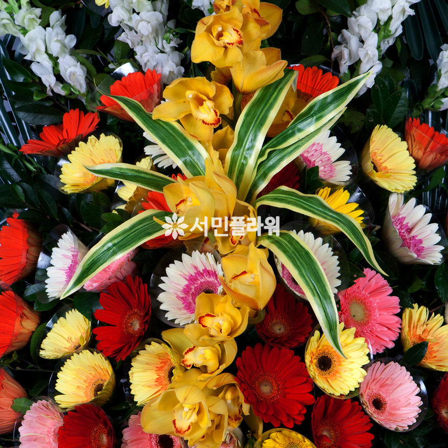 상세이미지