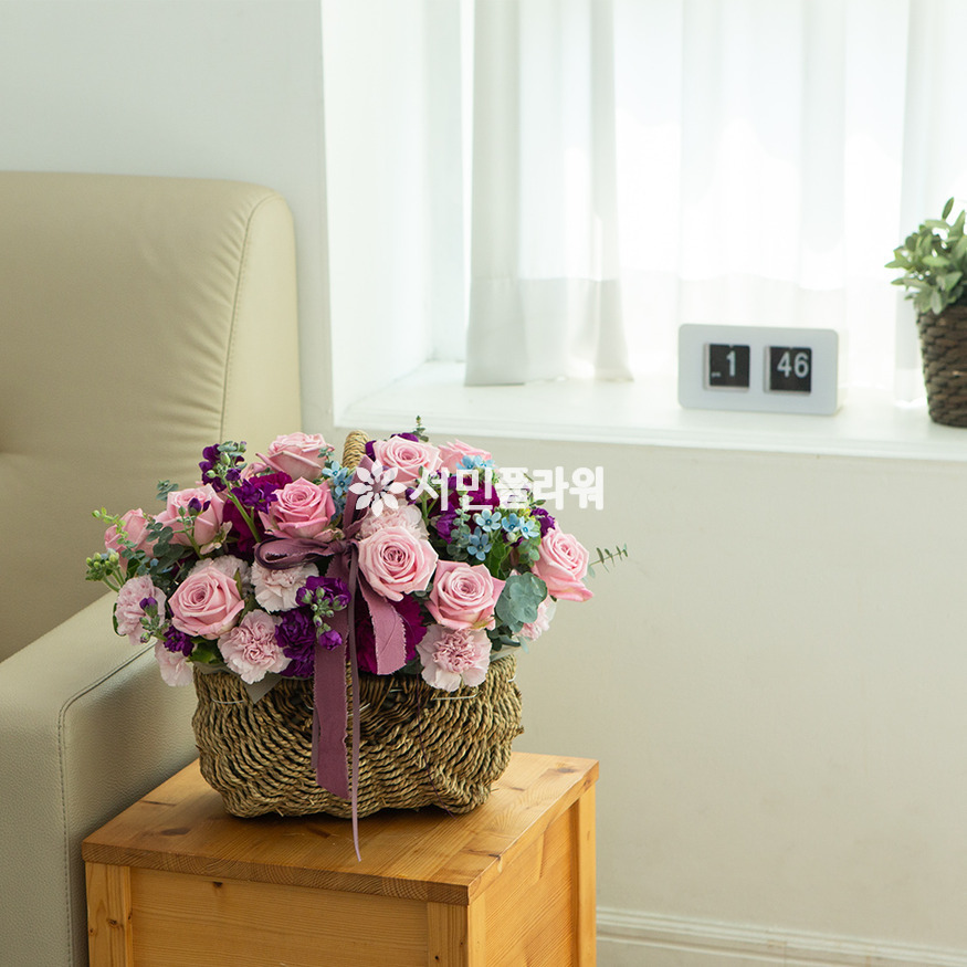 상세이미지