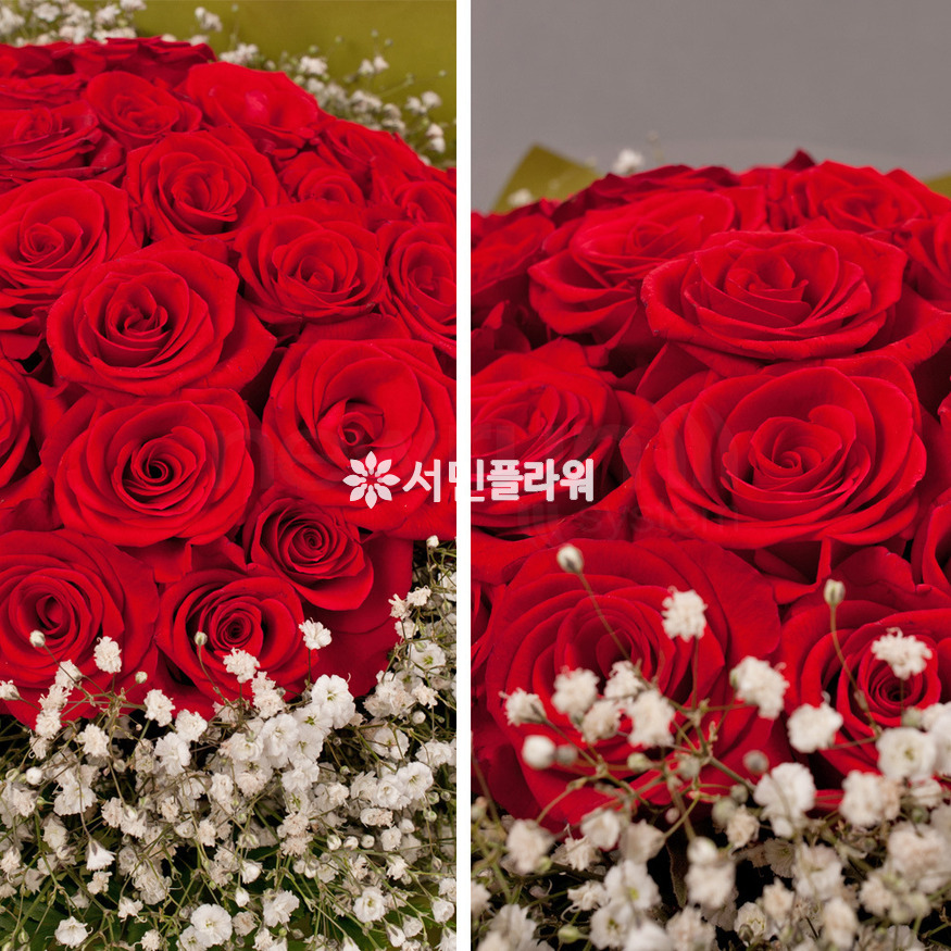 상세이미지
