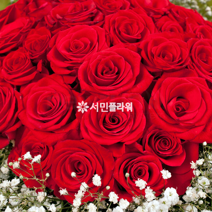 상세이미지