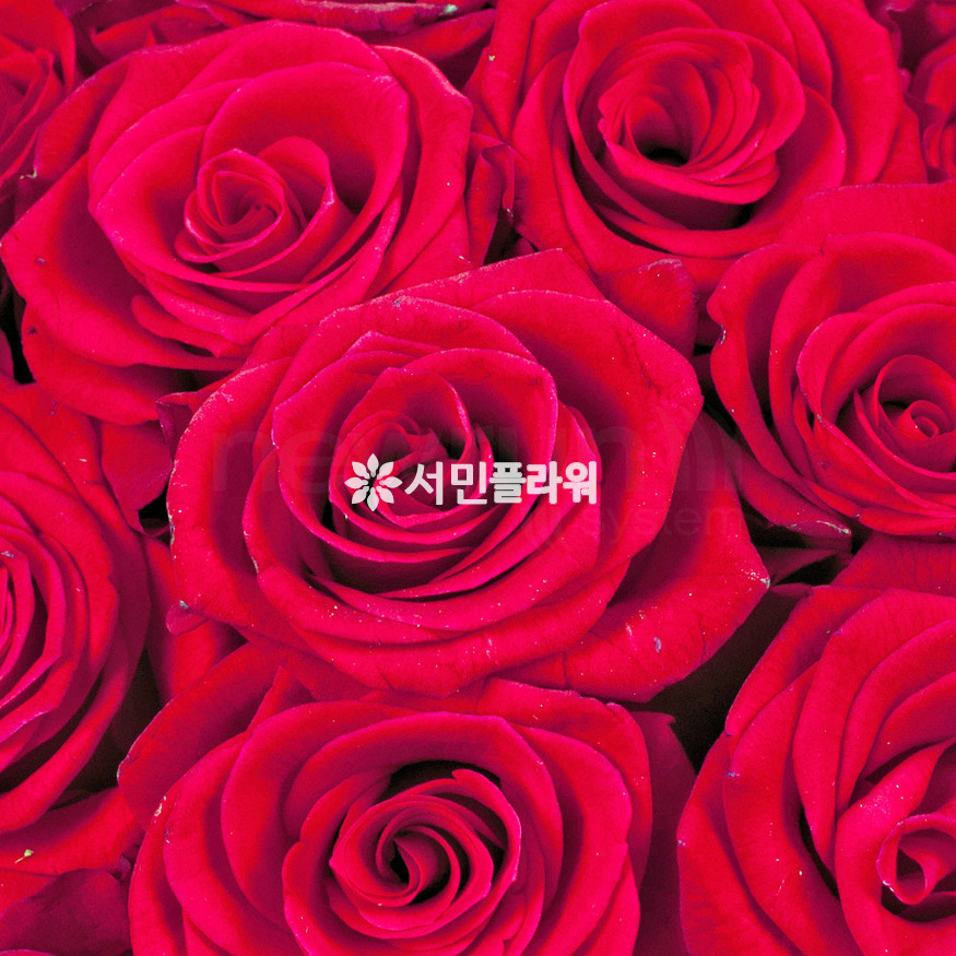 상세이미지
