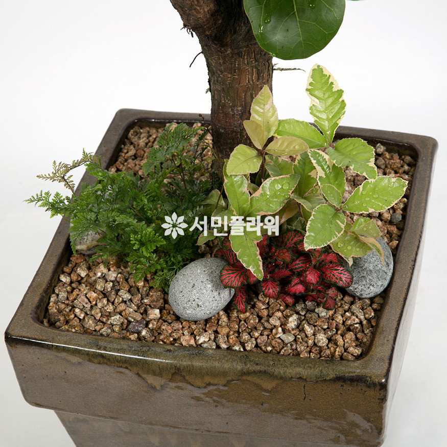 상세이미지