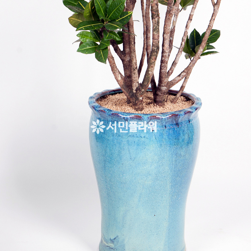 상세이미지