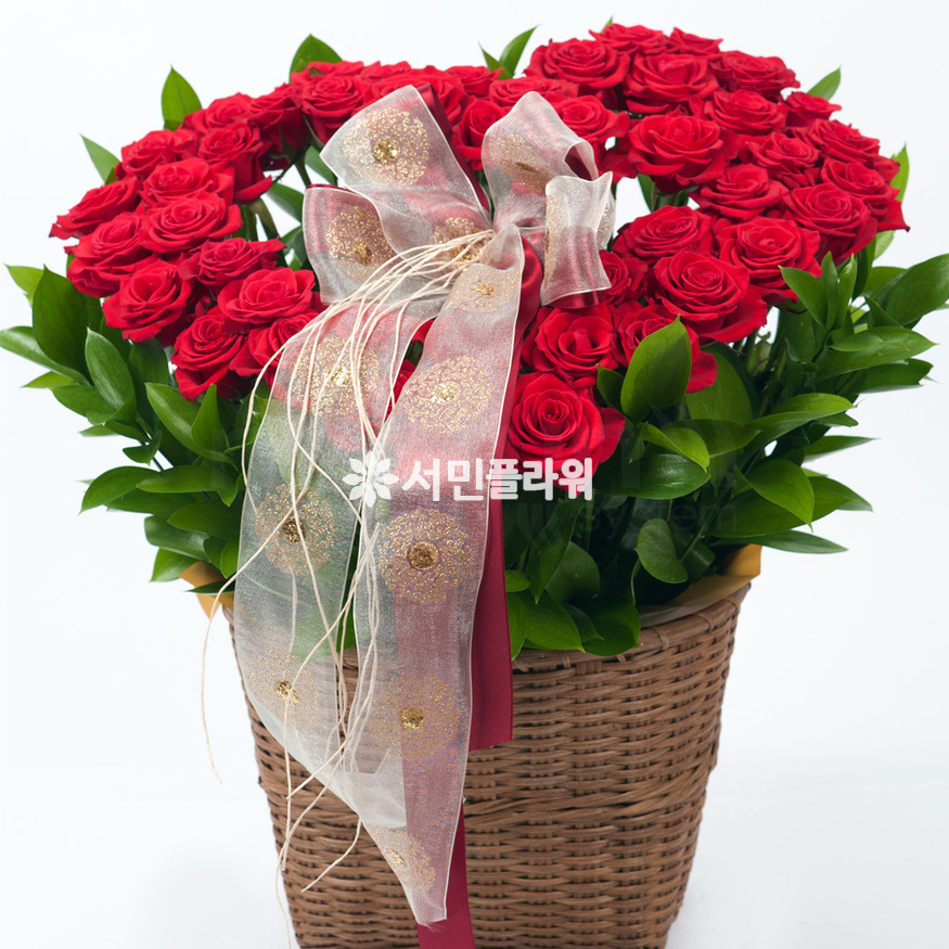 상세이미지