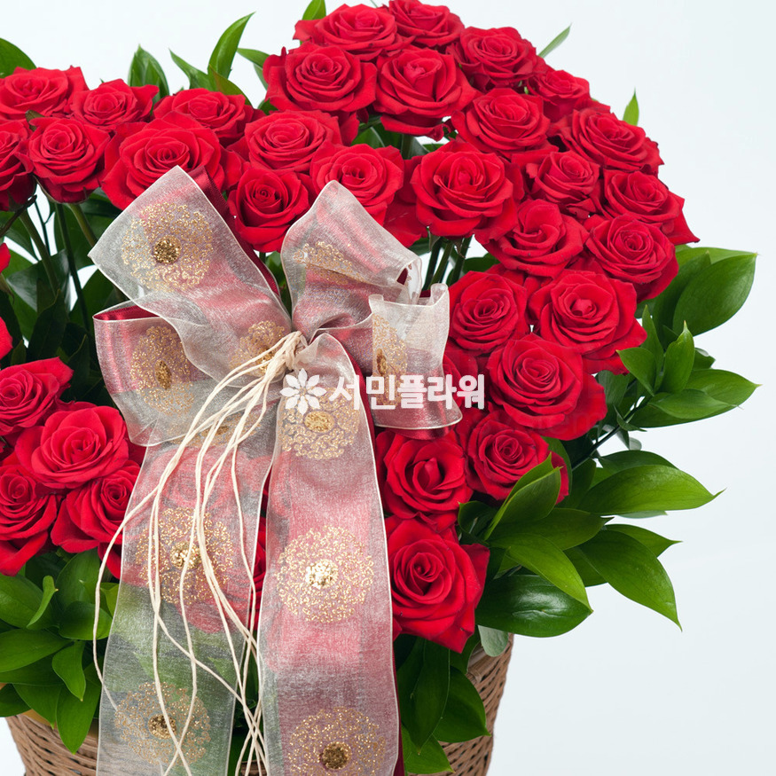 상세이미지