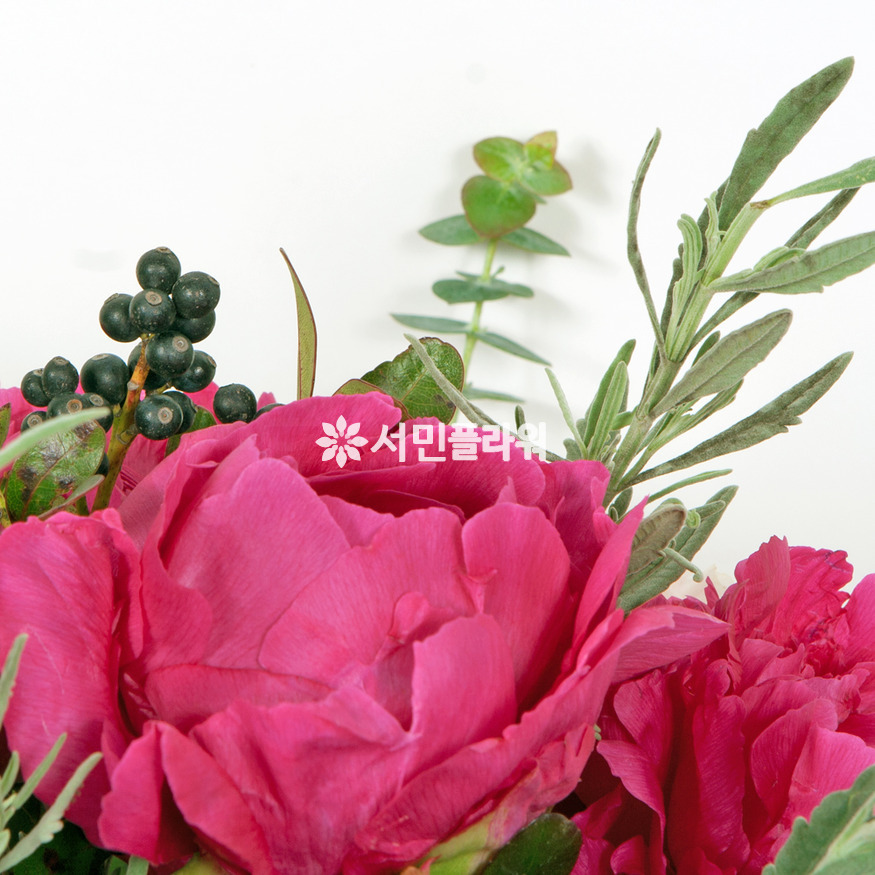 상세이미지
