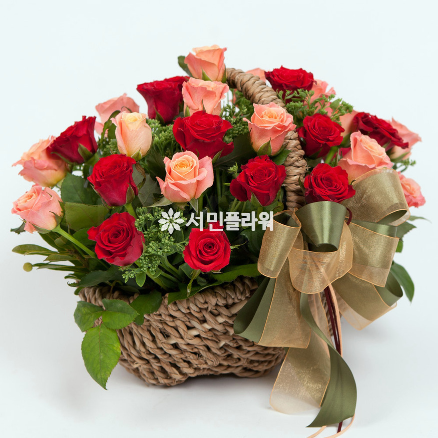 상세이미지