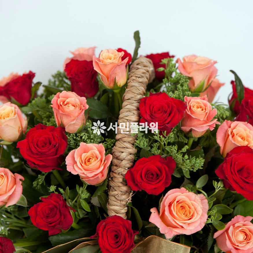상세이미지