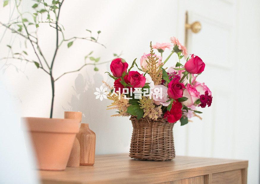 상세이미지