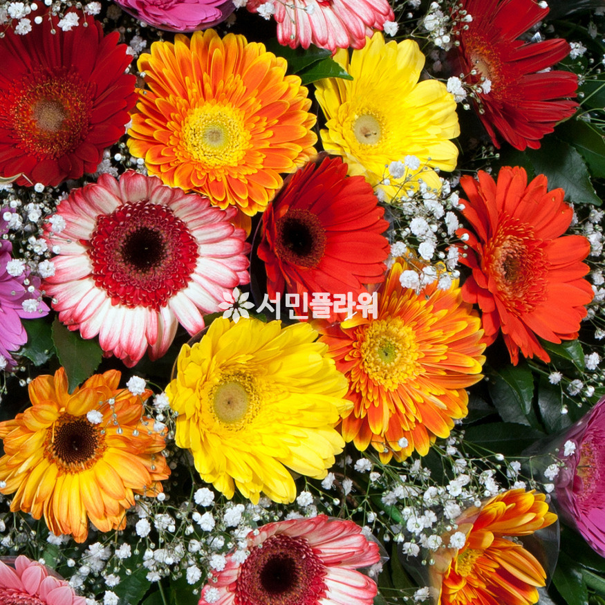 상세이미지