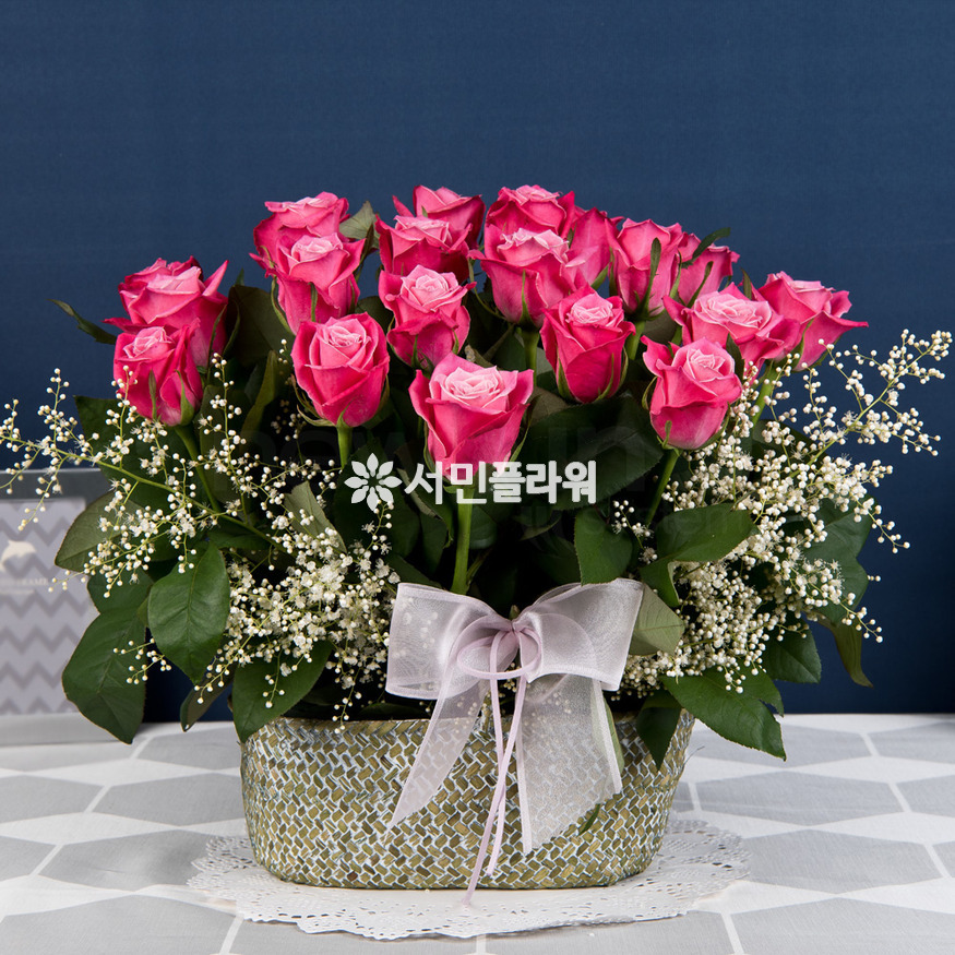 상세이미지