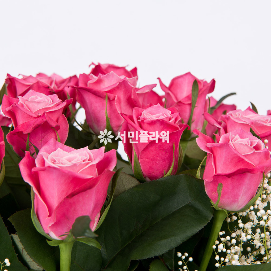 상세이미지