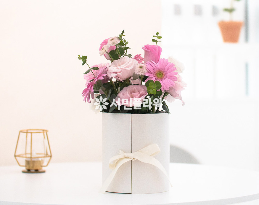 상세이미지