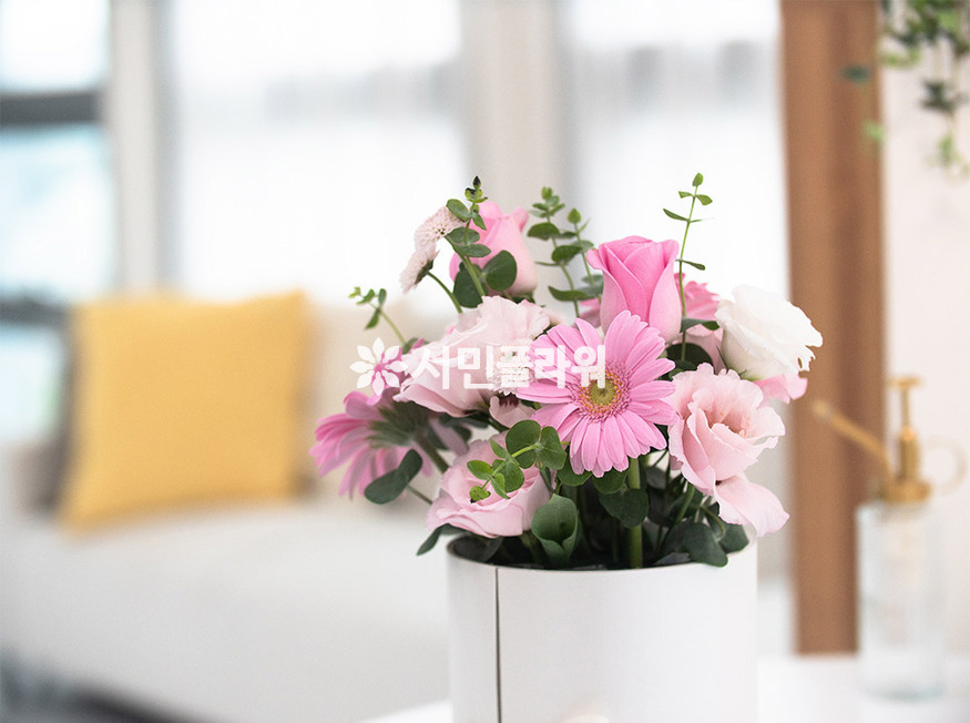 상세이미지