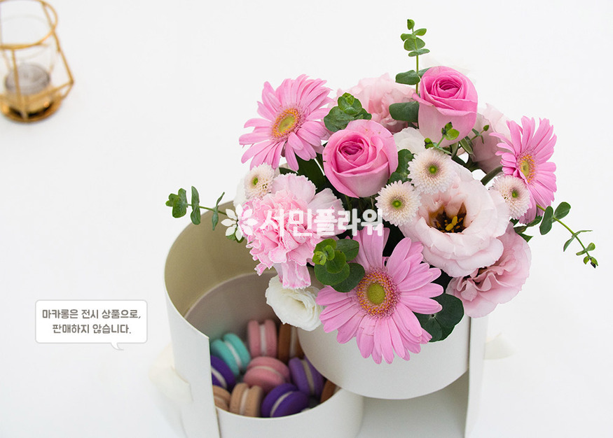 상세이미지
