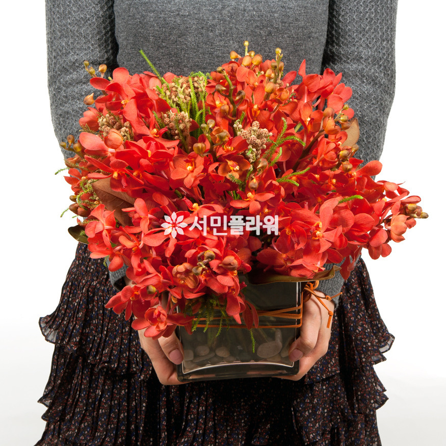 상세이미지